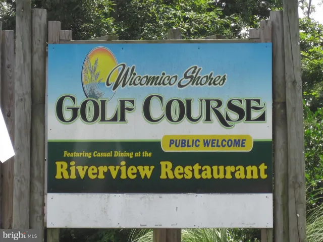 a view of a park with a entertaining space