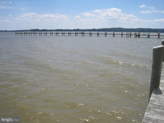 a view of a house with backyard and porch