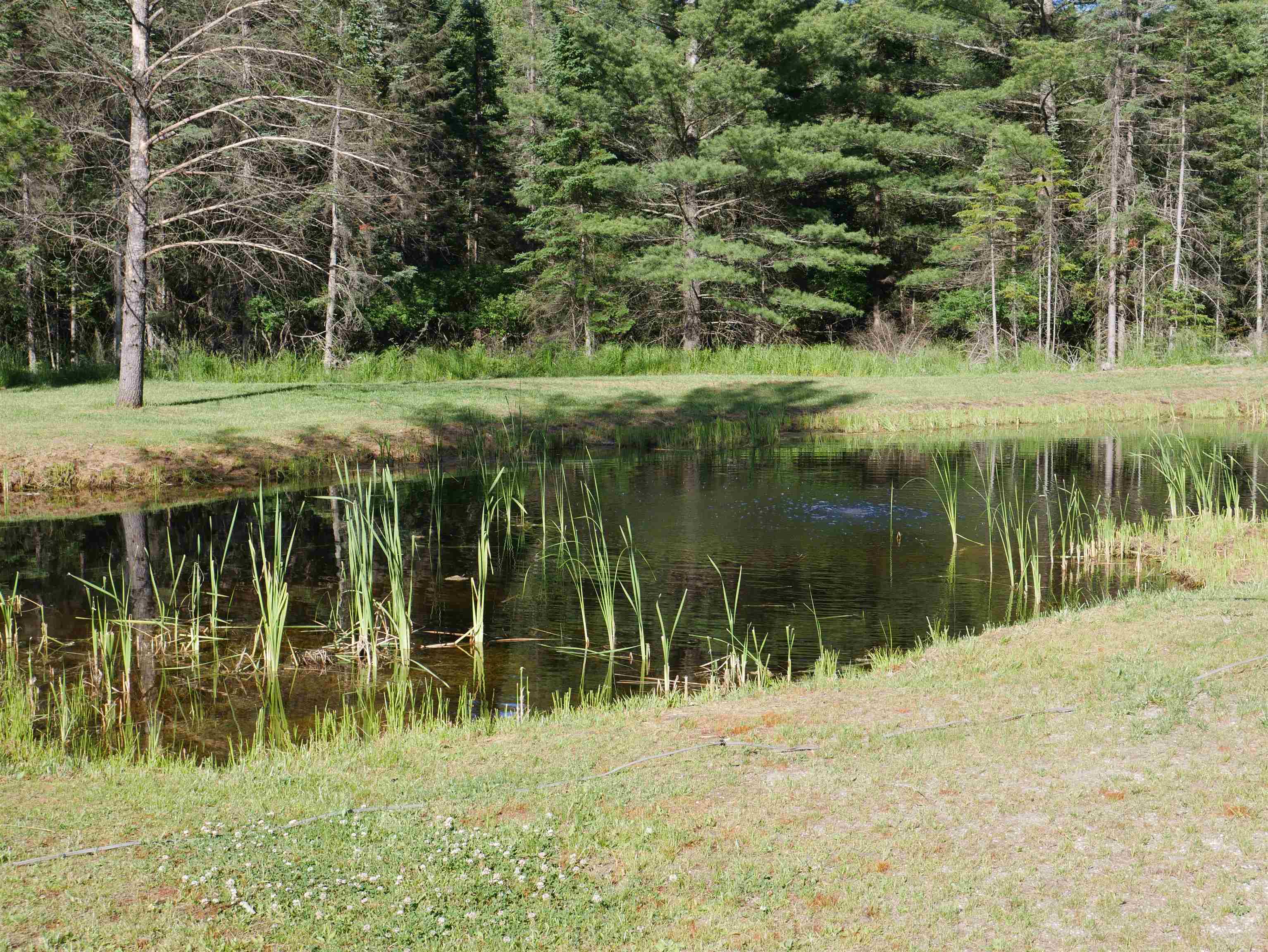 1215 Gerald Miller Road West Branch, MI 48661 - Photo 6 of 38 1901367-5.JPG