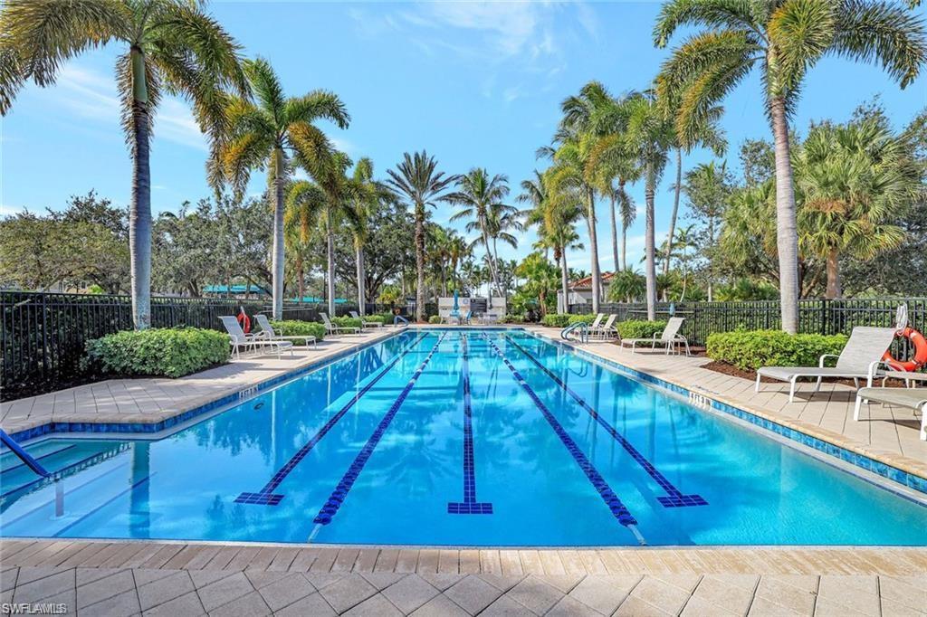 3356 Cayman Lane Naples, FL 34119 - Photo 38 of 46 Swimming laps to stay in shape....