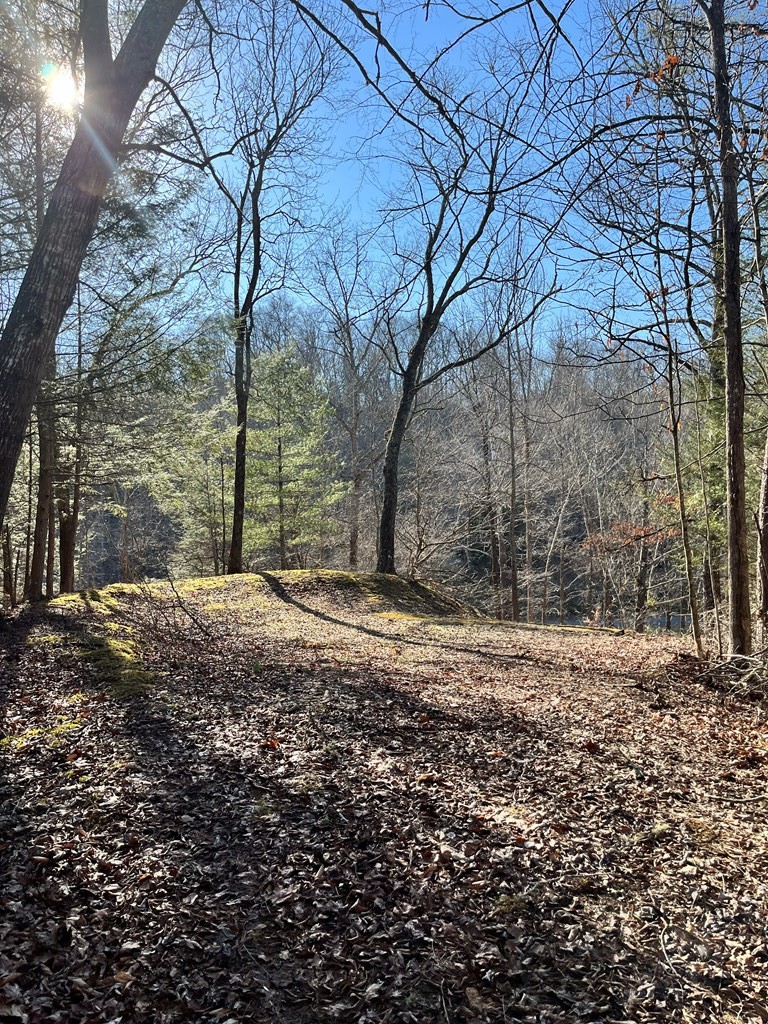 0 Ruth Lane Sevierville, TN 37862 - Photo 4 of 11