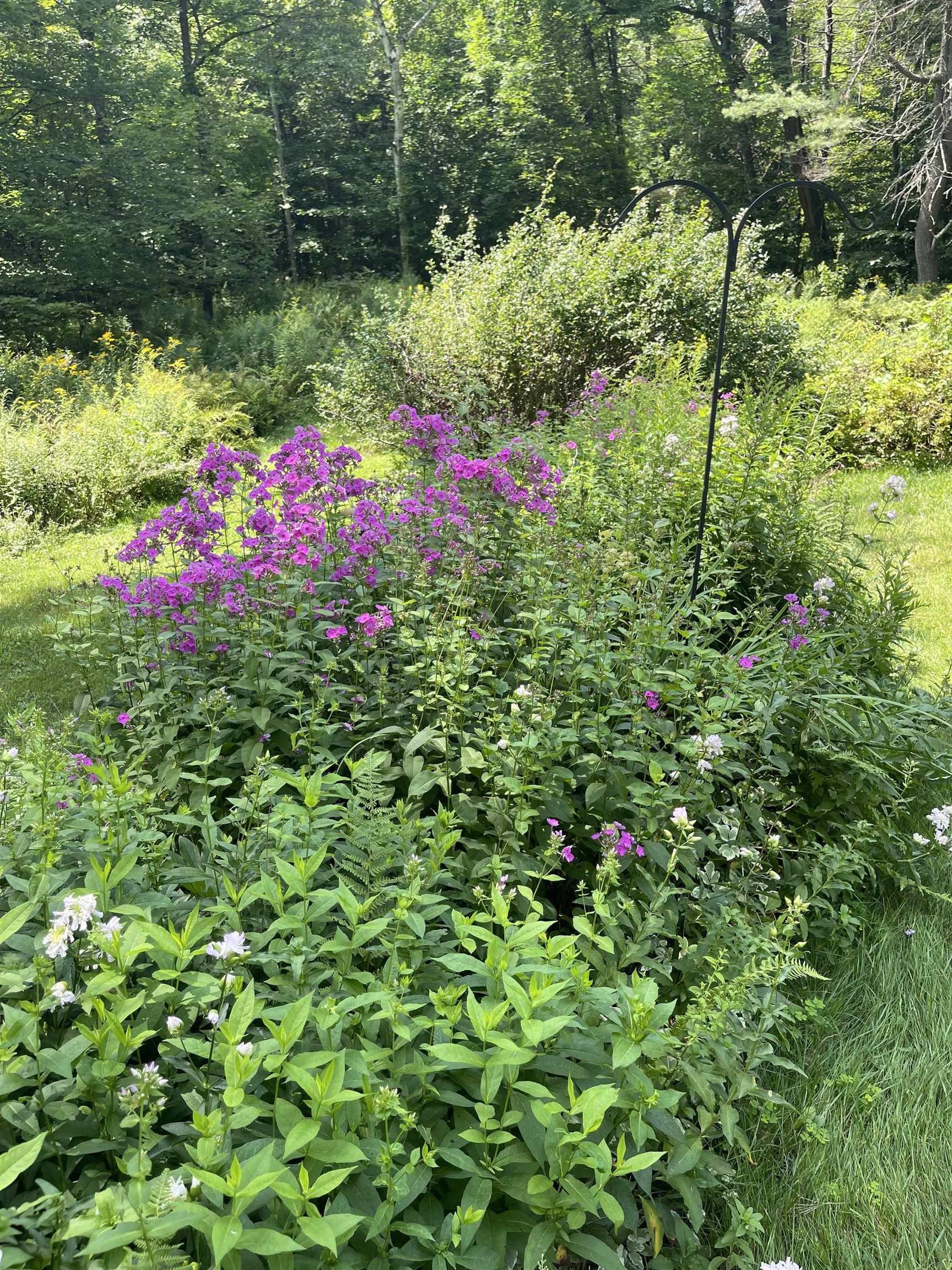 327 Cambridgeport Road Rockingham, VT 05143 - Photo 36 of 39