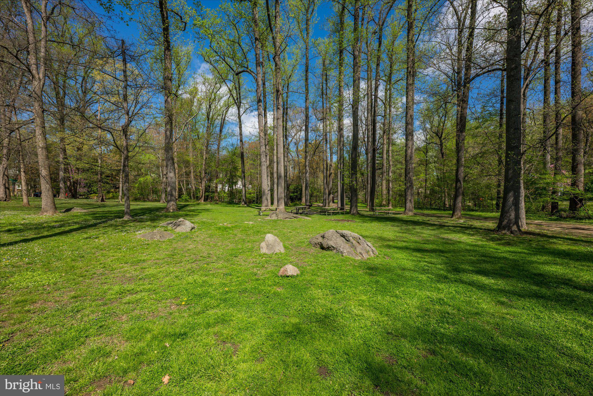 9226 Three Oaks Drive Silver Spring, MD 20901 - Photo 66 of 76