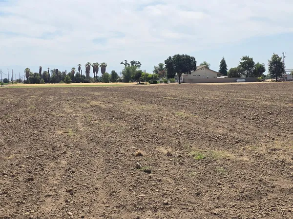a view of a field with trees in background