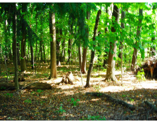 Lot 00 Sandy Ridge Lancaster, MA 01523 - Photo 1 of 1 Gallery Image 1