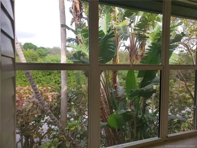 a view of backyard from a window