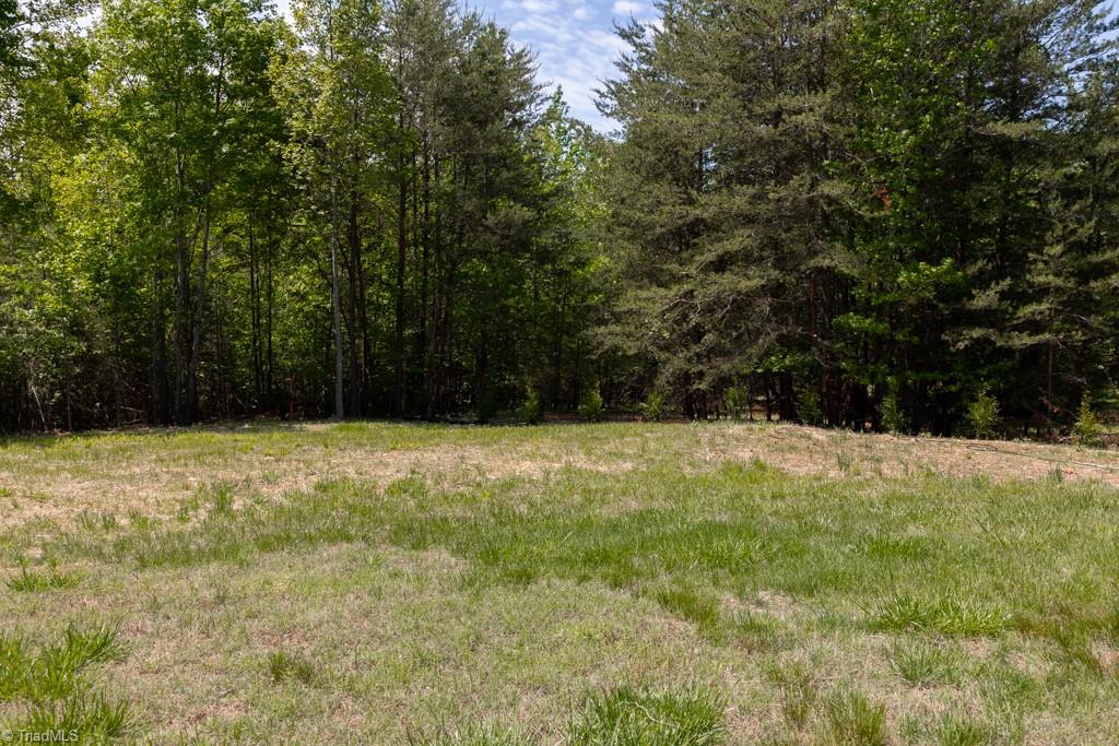 258 Buttercup Road Eden, NC 27288 - Photo 39 of 42