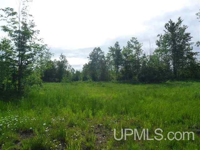 Off Firesteel Road Ontonagon, MI 49929 - Photo 7 of 9