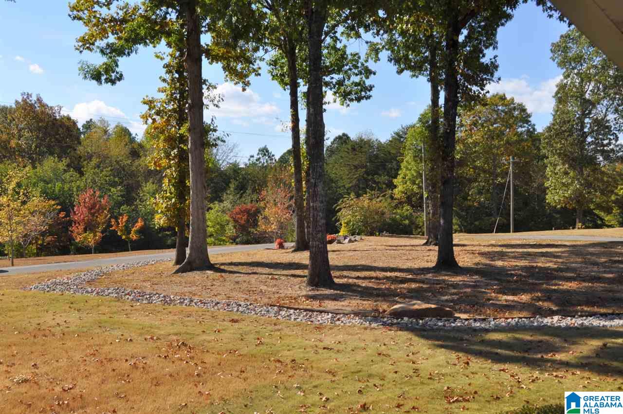 3705 Hunter Ridge Road Moody, AL 35004 - Photo 10 of 50