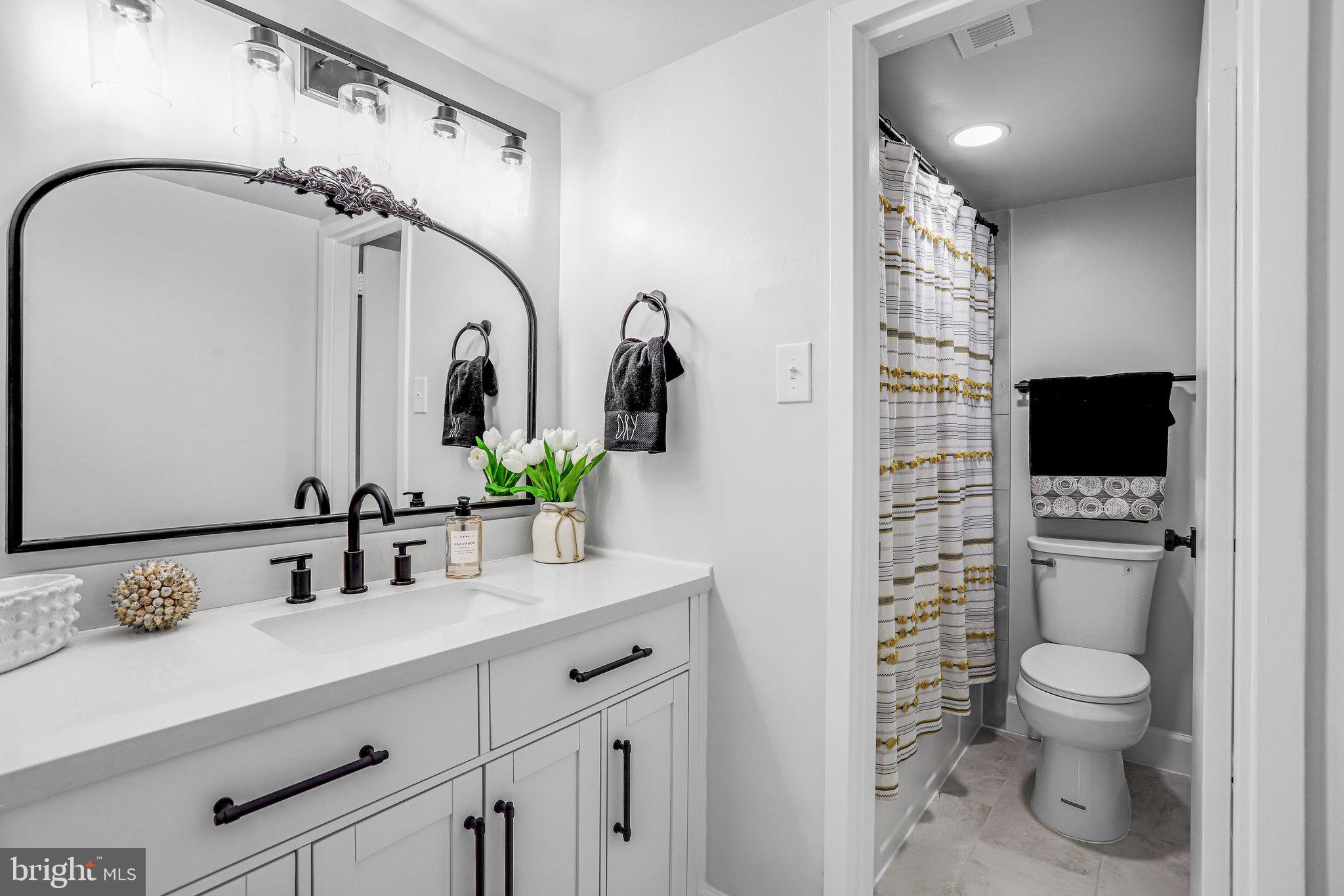 1836 Metzerott Road, Unit 627 Adelphi, MD 20783 - Photo 18 of 27 a bathroom with a sink a toilet and shower