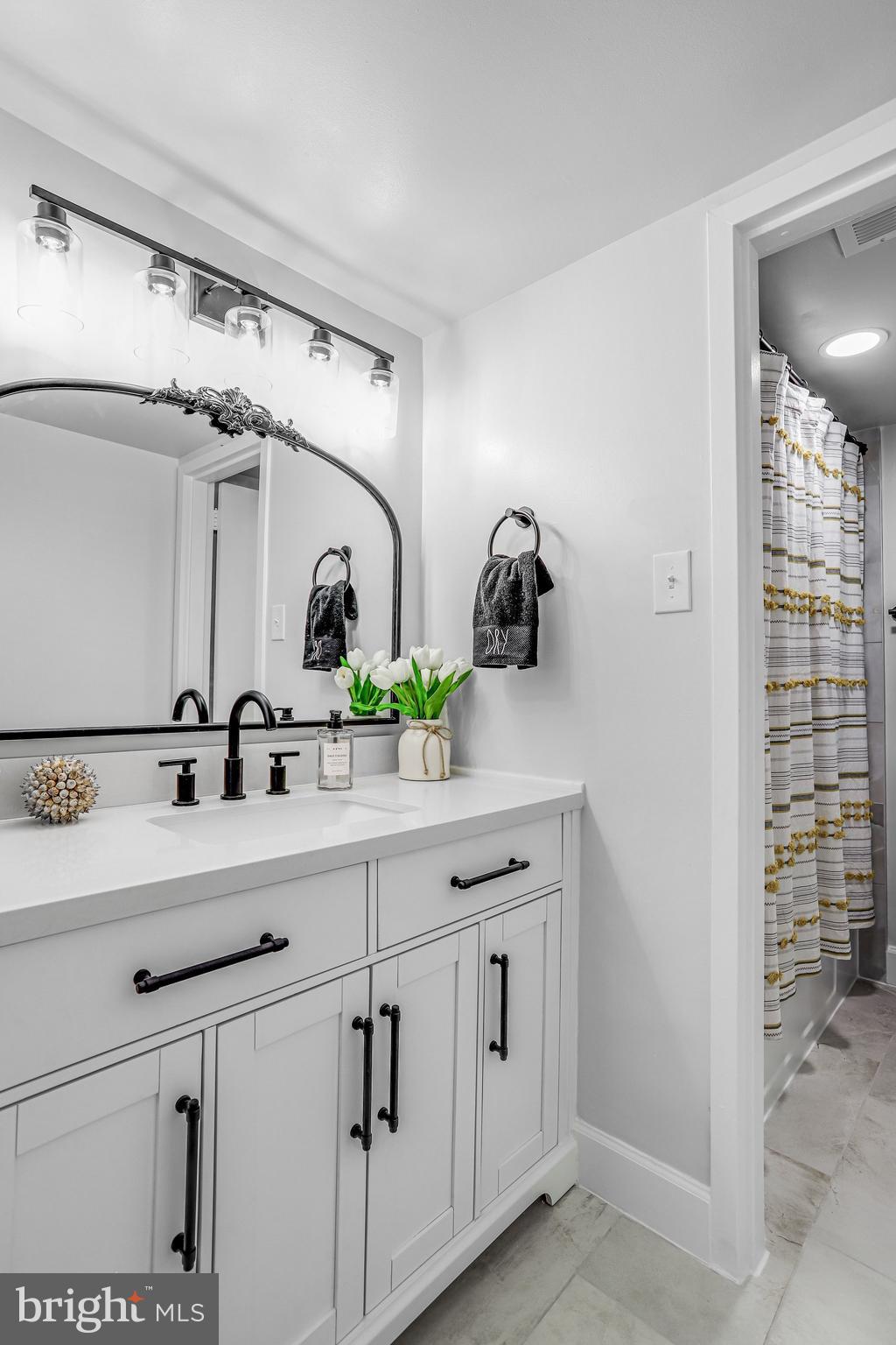 1836 Metzerott Road, Unit 627 Adelphi, MD 20783 - Photo 19 of 27 a bathroom with a sink and a mirror