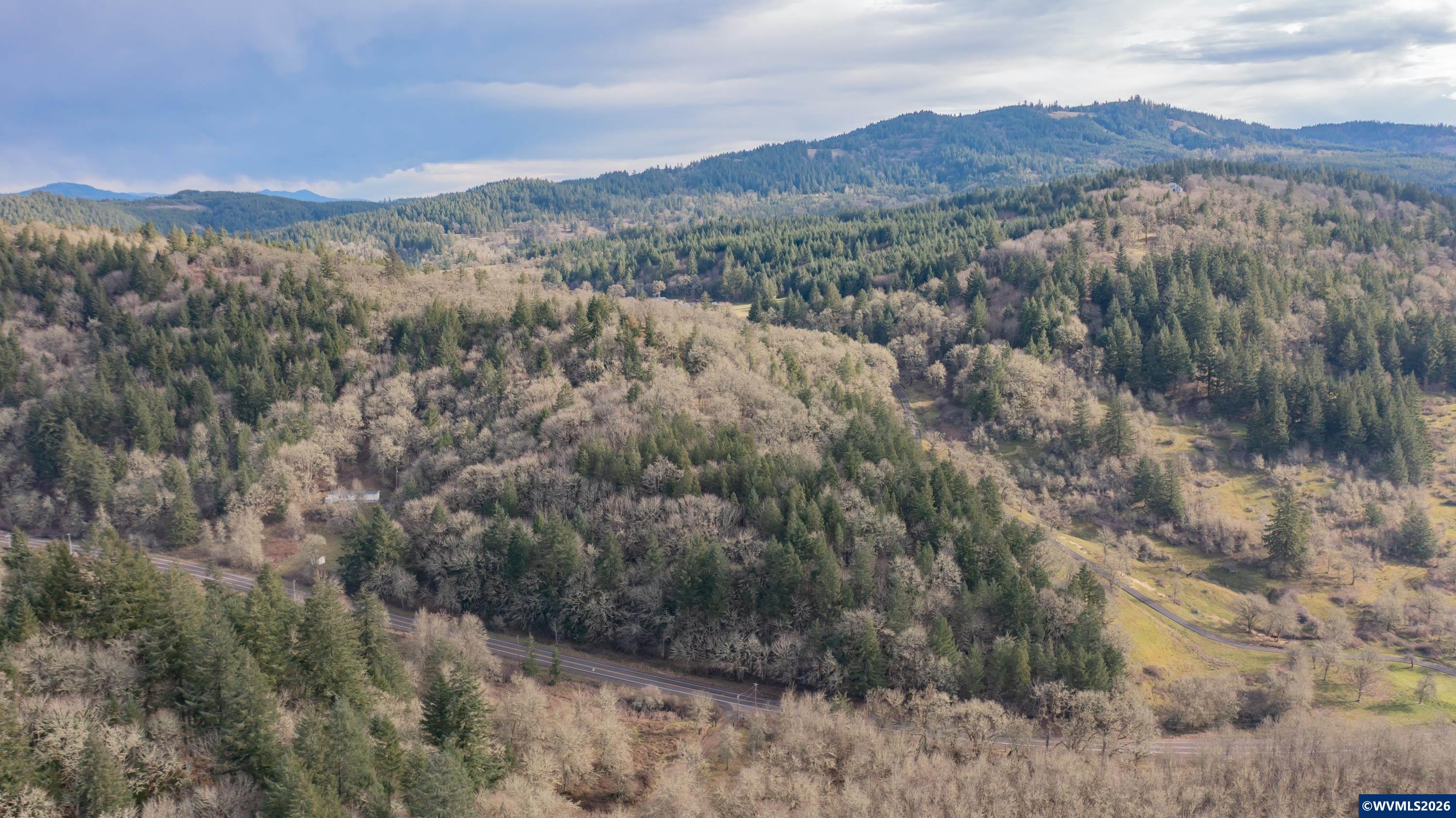 25045 Gap Road Brownsville, OR 97327 - Photo 29 of 49
