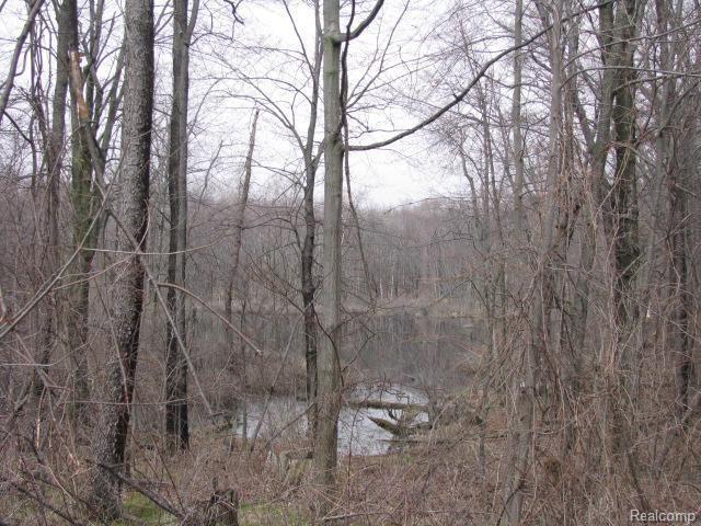 4625 37 Mile Road Romeo, MI 48065 - Photo 36 of 37 #36 Pond view.jpg