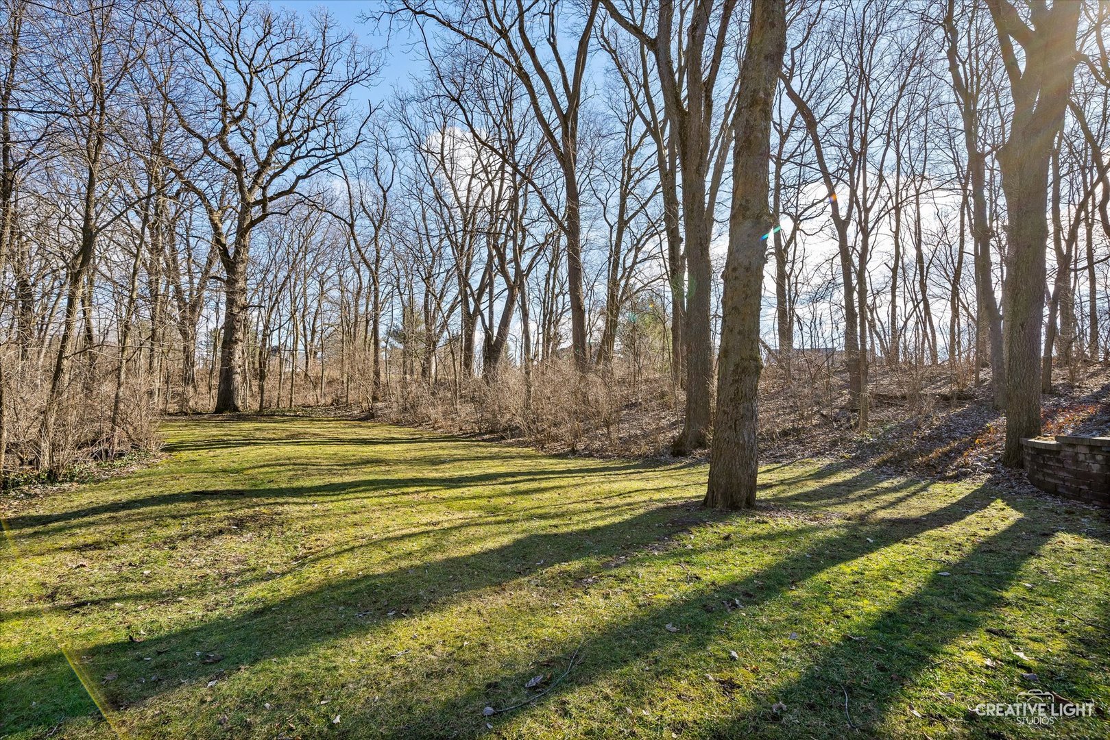 12 Winding Creek Road Yorkville, IL 60560 - Photo 3 of 53 a view of a yard with large trees