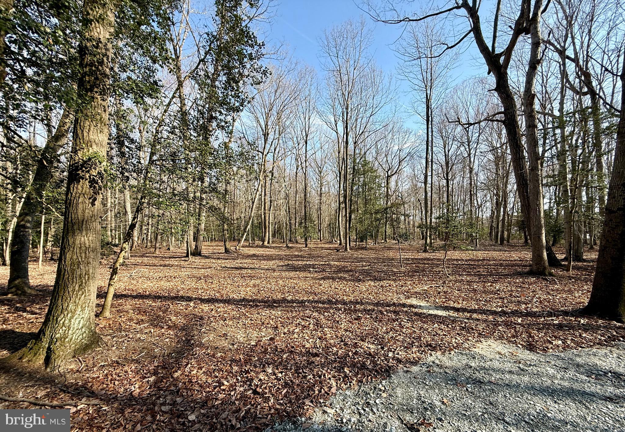 0 Utica Road, Unit PARCEL 4 Greenwood, DE 19950 - Photo 11 of 17 Primary homesite