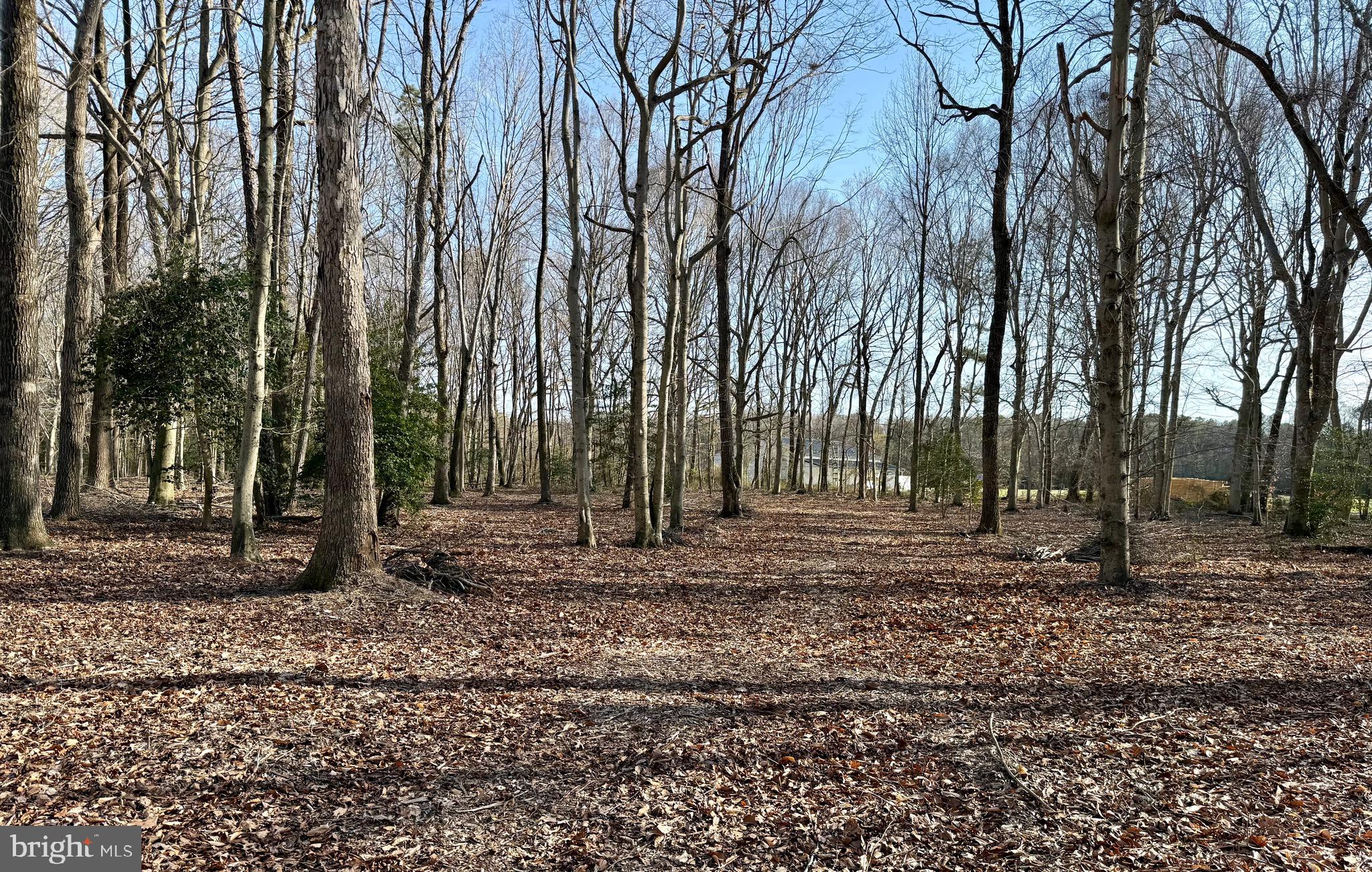 0 Utica Road, Unit PARCEL 4 Greenwood, DE 19950 - Photo 13 of 17 Beyond lot4 a homestead under way on adjacent farm