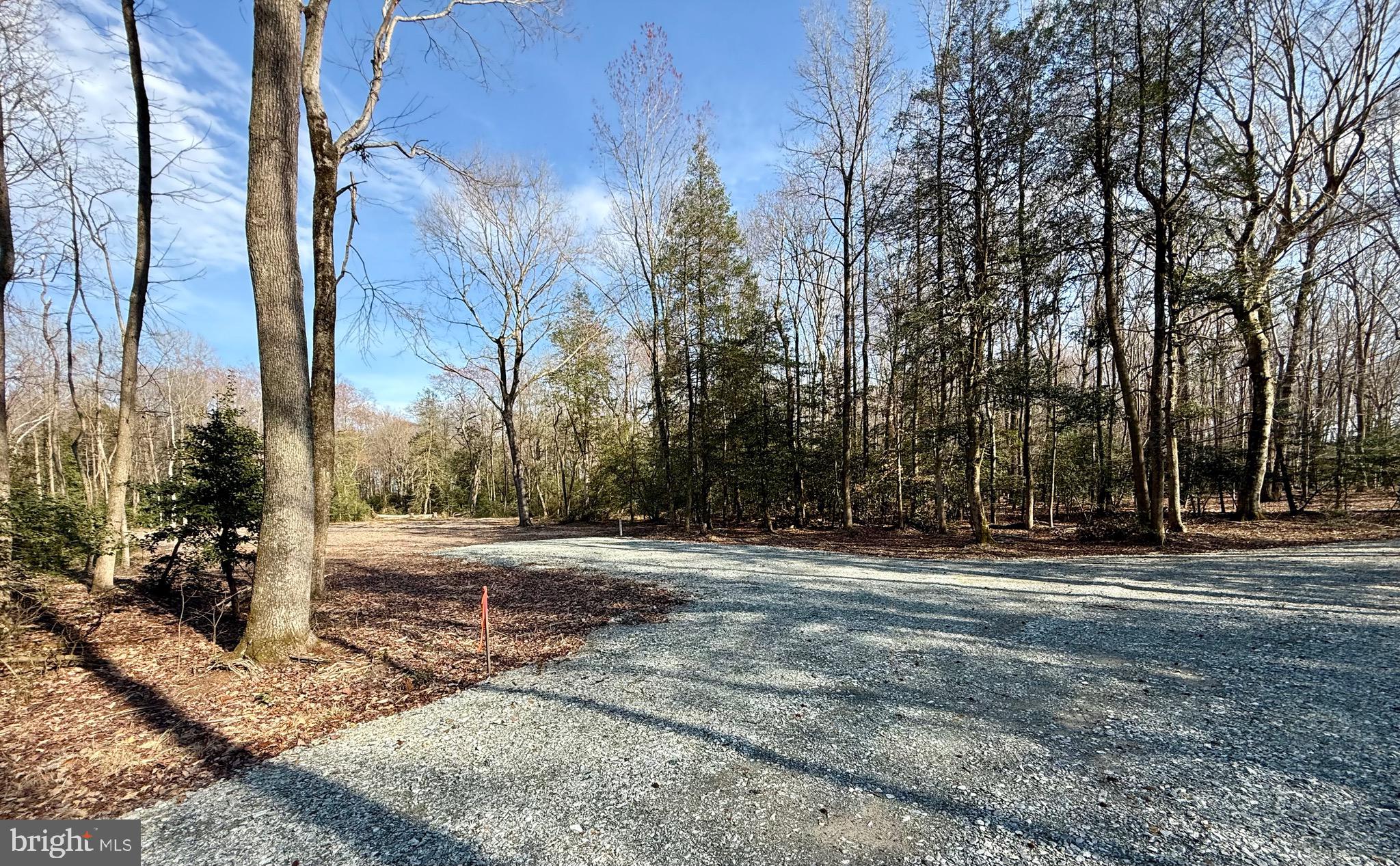 0 Utica Road, Unit PARCEL 4 Greenwood, DE 19950 - Photo 6 of 17 A clearing to left for accessory building, pasture