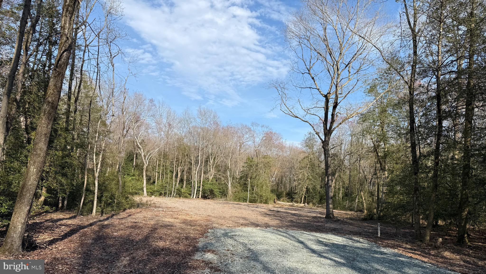 0 Utica Road, Unit PARCEL 4 Greenwood, DE 19950 - Photo 7 of 17 Additional view of cleared area for secondary uses