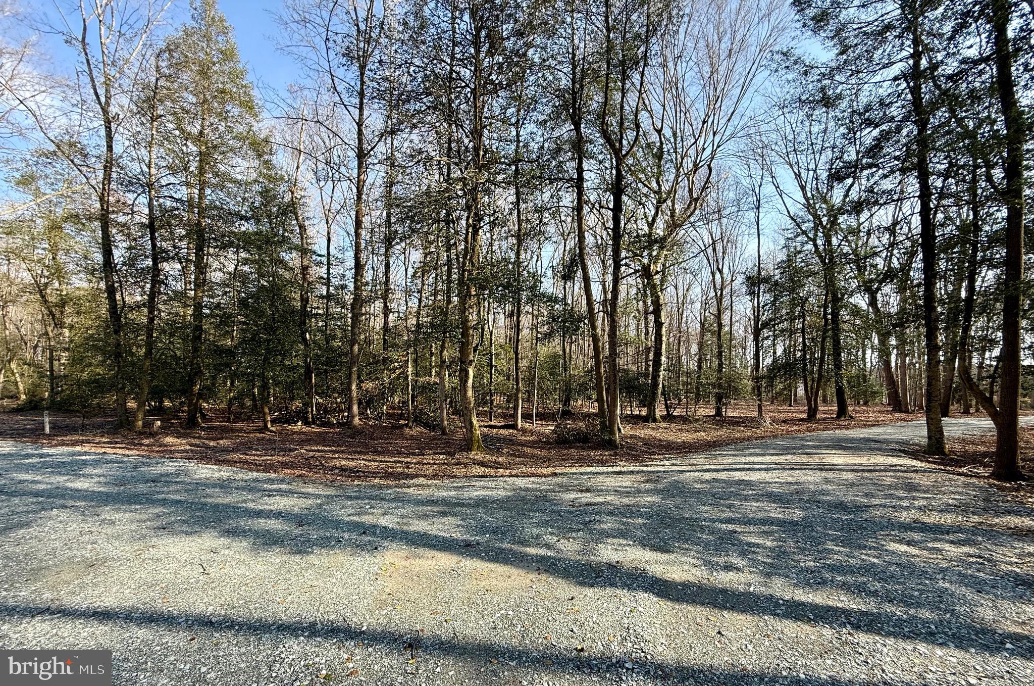 0 Utica Road, Unit PARCEL 4 Greenwood, DE 19950 - Photo 8 of 17 Driveway continues to rear portion of lot 4