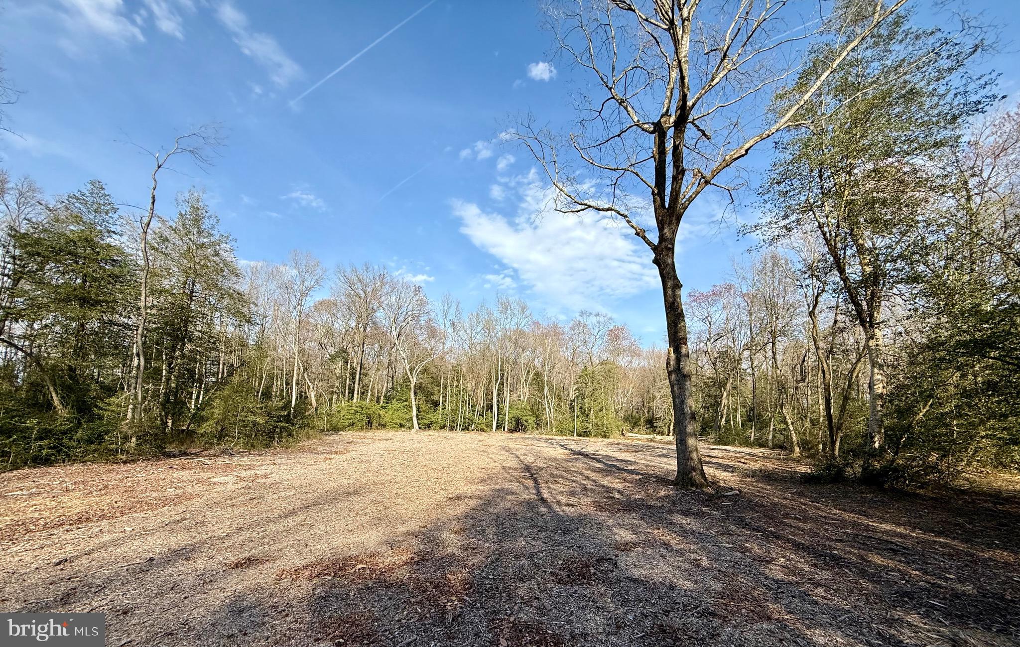0 Utica Road, Unit PARCEL 4 Greenwood, DE 19950 - Photo 9 of 17 Lot 4 clearing for secondary uses