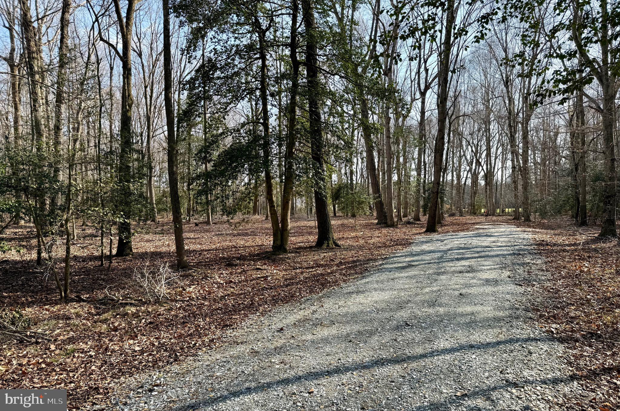 0 Utica Road, Unit PARCEL 4 Greenwood, DE 19950 - Photo 10 of 17 Lot 4 opened up area for homesite.