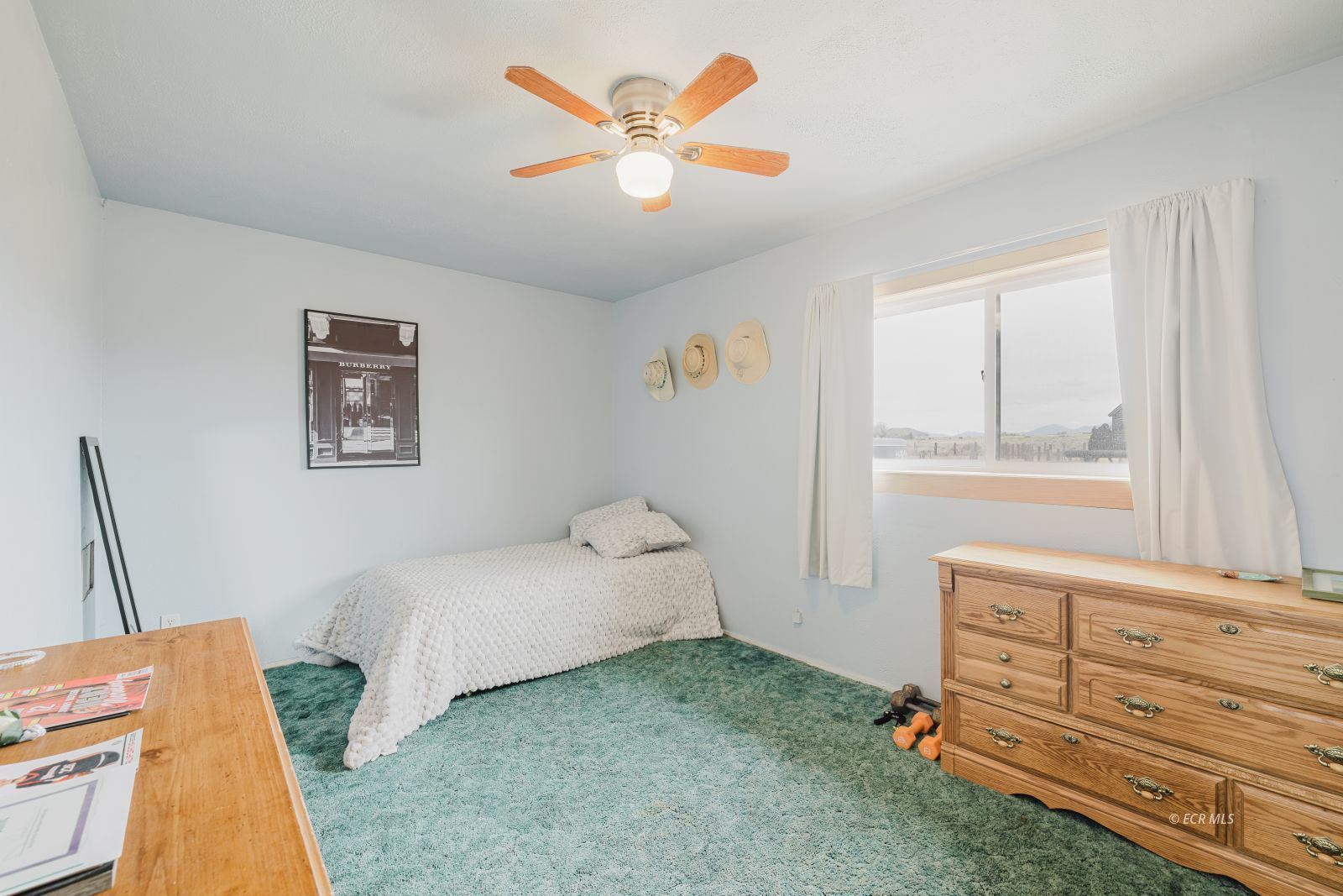 224 Hamilton Stage Road Spring Creek, NV 89815 - Photo 25 of 48