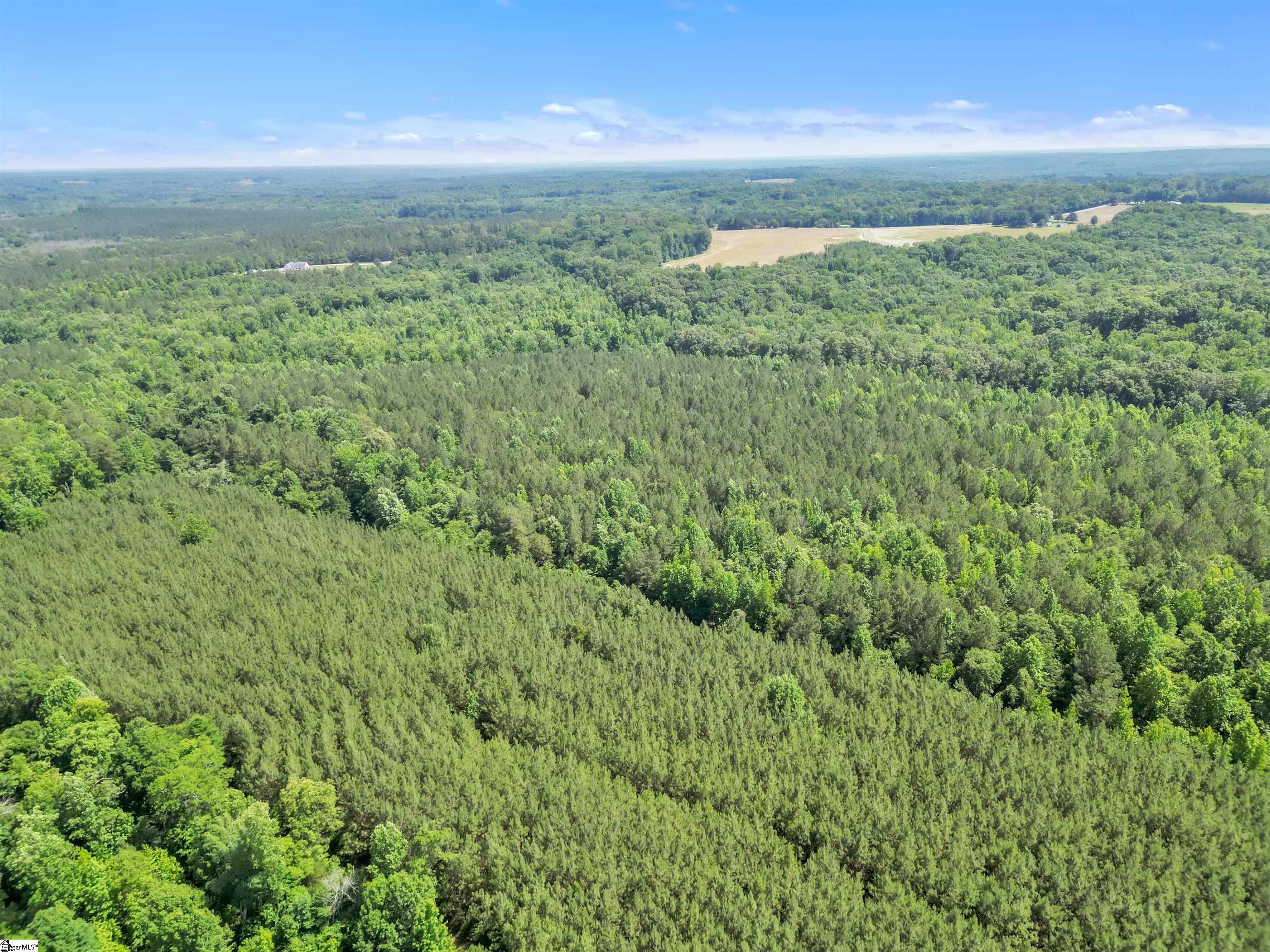 0 Simpson Mill Road Laurens, SC 29360 - Photo 15 of 20