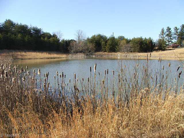 Tbd Tbd Dodgetown Road Walnut Cove, NC 27052 - Photo 3 of 7 Other.