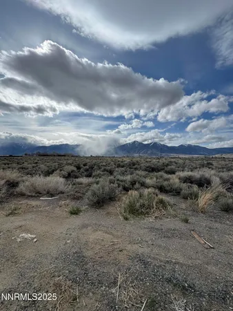 a view of a dry yard with trees