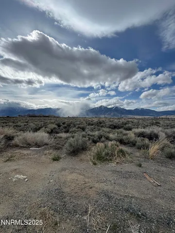 a view of a dry yard with trees