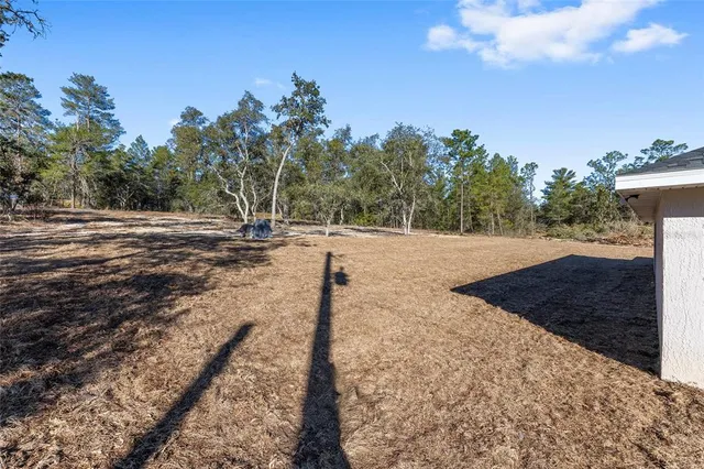 a view of a yard with trees