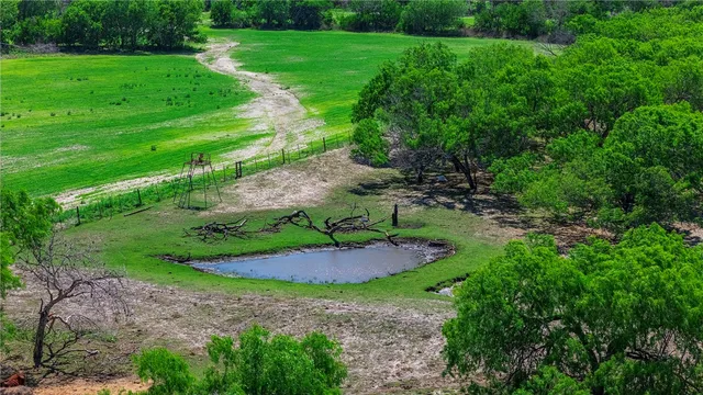 a view of a garden with an outdoor space