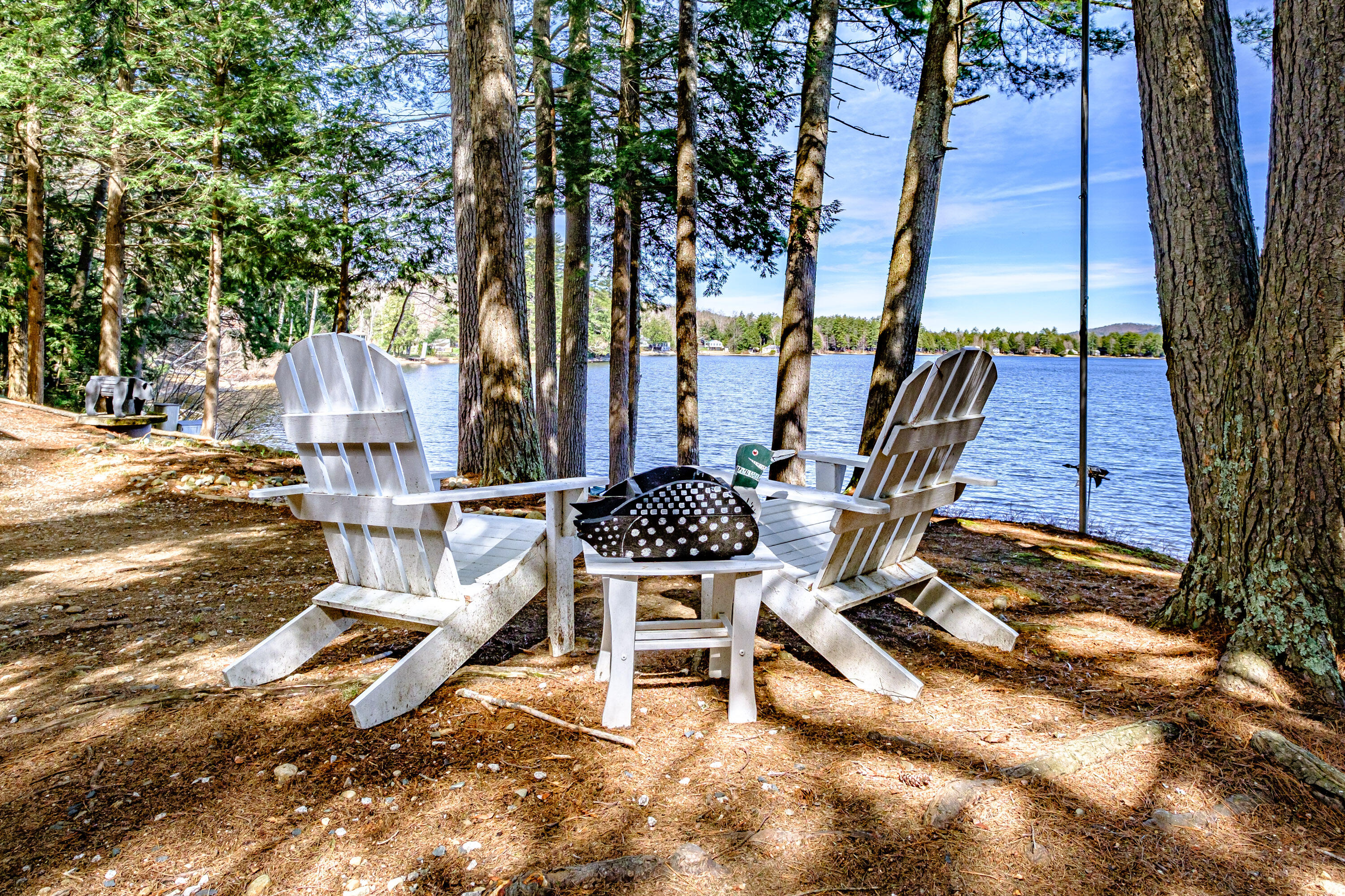 89 Carroll Lane Limerick, ME 04048 - Photo 4 of 64 20240429gp-60012