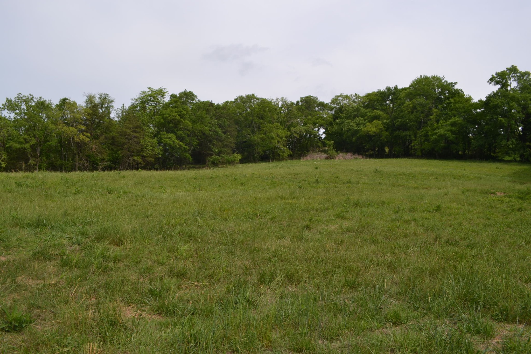 0 Gattistown Road Mulberry, TN 37359 - Photo 1 of 3 a view of field with trees in the background