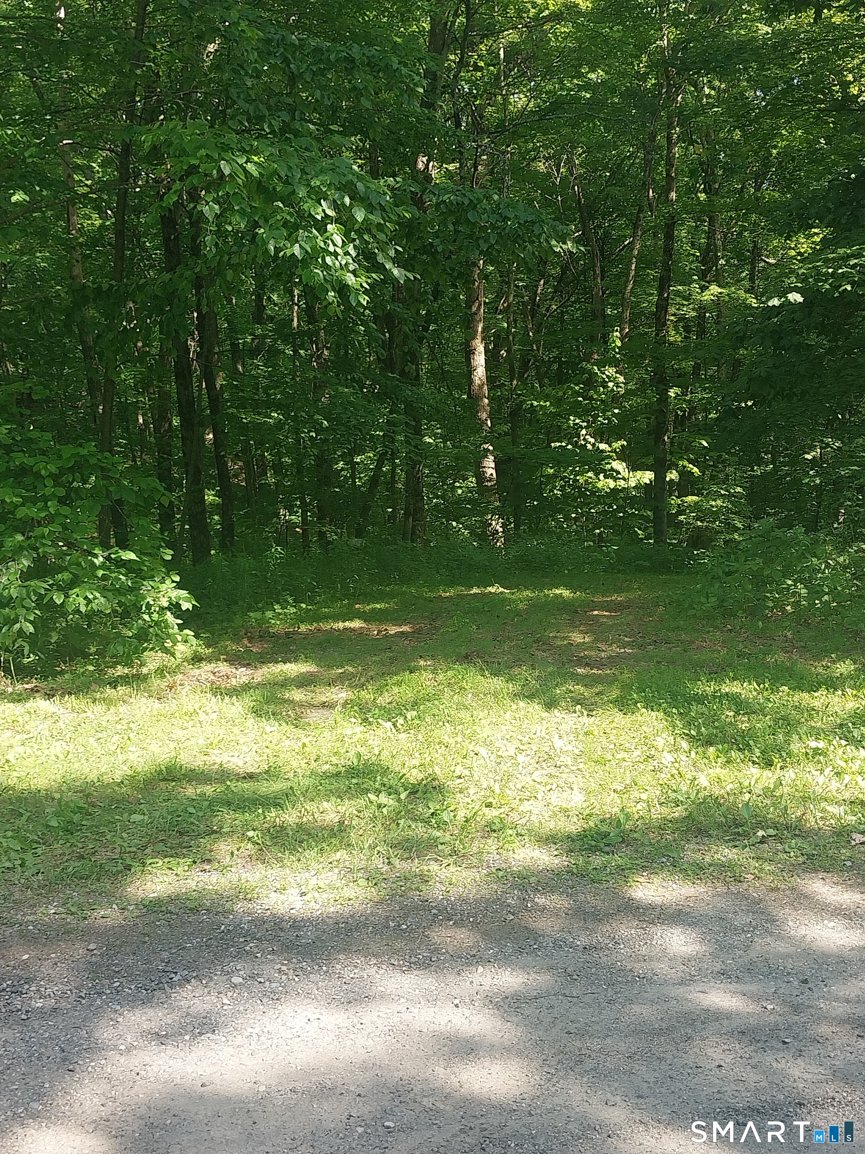 Mount Mauwee Road South Kent, CT 06785 - Photo 1 of 10
