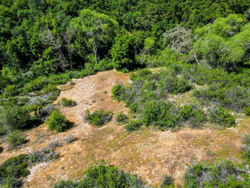 43575 East Carmel Valley Road Greenfield, CA 93927 - Photo 12 of 28 a view of a yard with plants and large trees