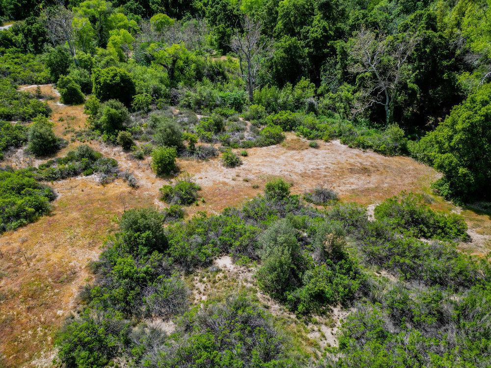 43575 East Carmel Valley Road Greenfield, CA 93927 - Photo 14 of 28 an aerial view of a yard with a tree