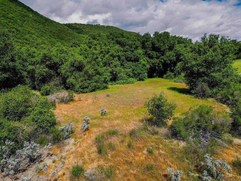 43575 East Carmel Valley Road Greenfield, CA 93927 - Photo 17 of 28 a view of a large yard with lots of green space