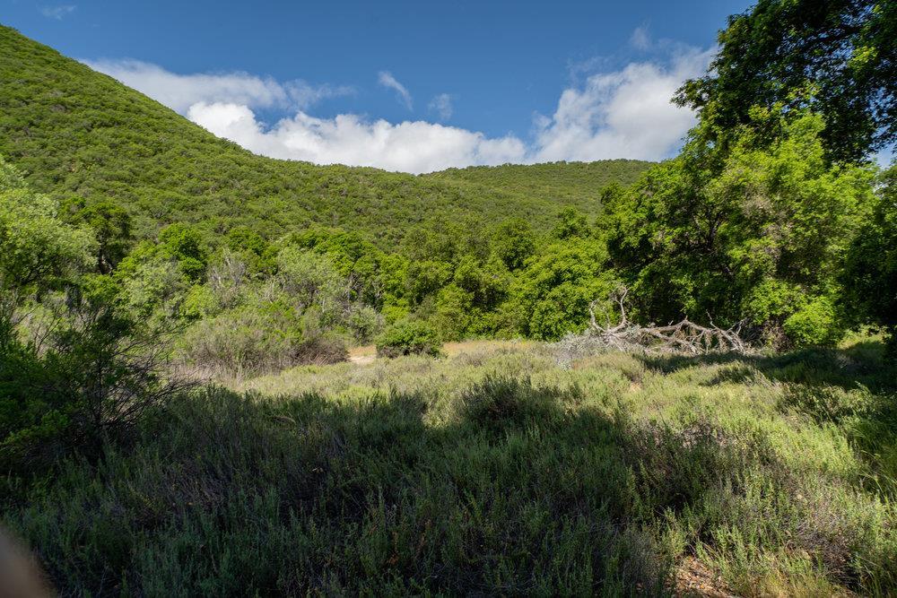 43575 East Carmel Valley Road Greenfield, CA 93927 - Photo 21 of 28