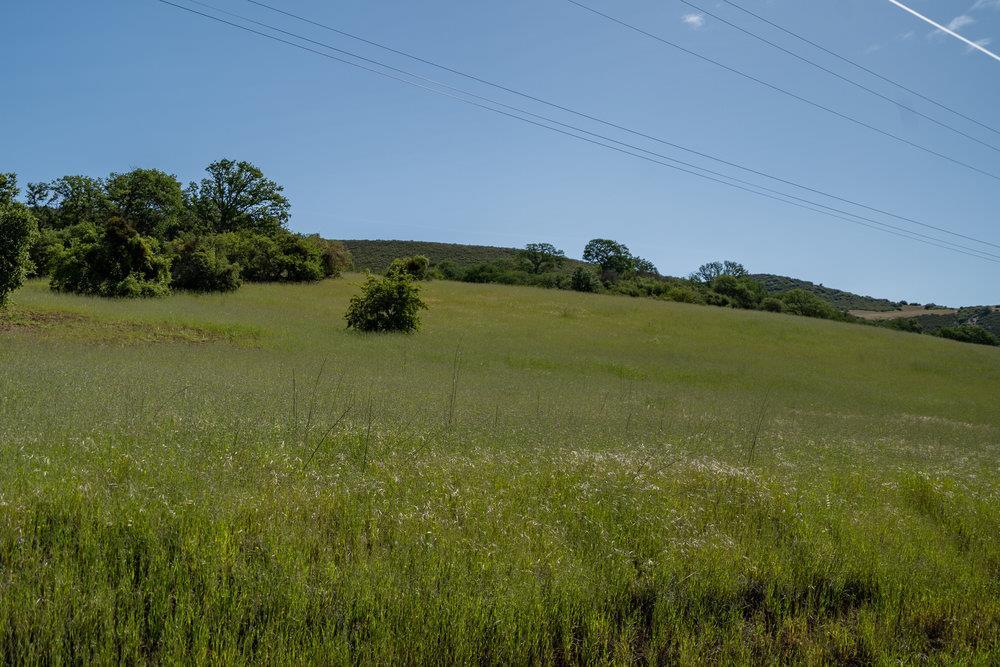 43575 East Carmel Valley Road Greenfield, CA 93927 - Photo 24 of 28 a view of an ocean and beach