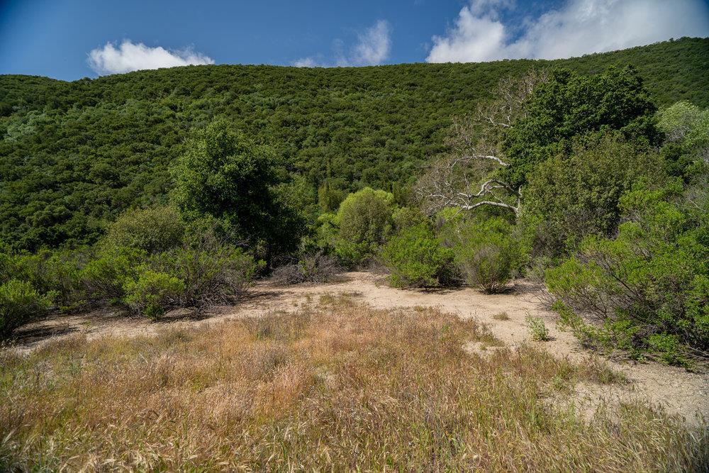 43575 East Carmel Valley Road Greenfield, CA 93927 - Photo 25 of 28 a view of a field