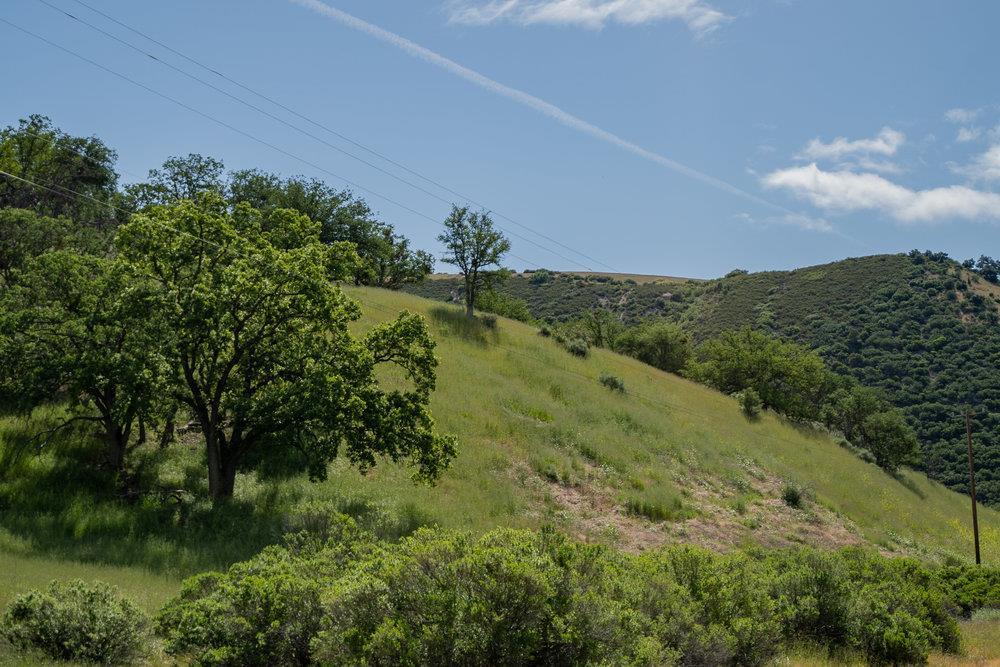 43575 East Carmel Valley Road Greenfield, CA 93927 - Photo 26 of 28 a view of a lush green outdoor space with a lake view