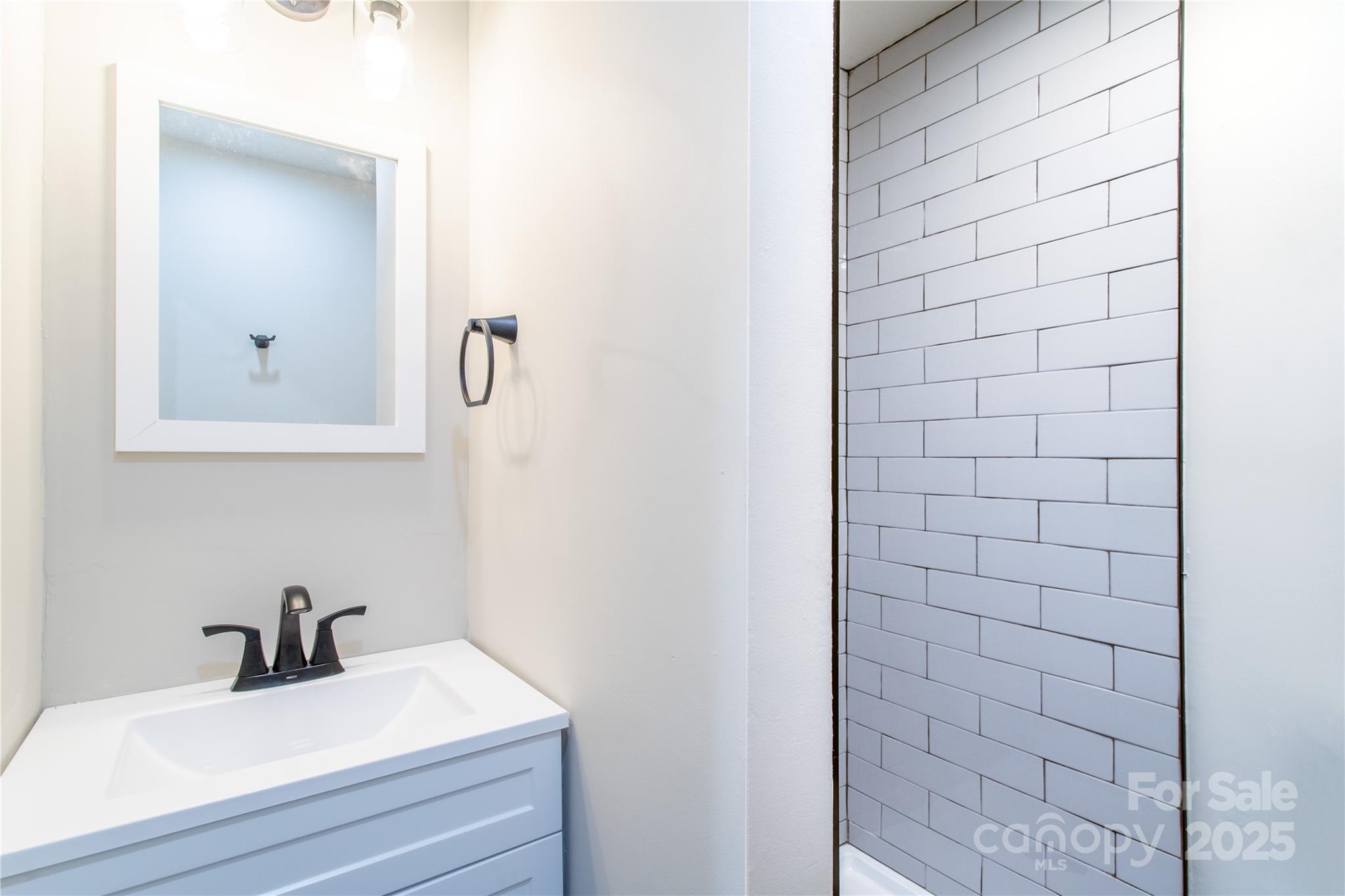 426-428 Weaver Creek Road Brevard, NC 28712 - Photo 39 of 48 a bathroom with a sink and a mirror