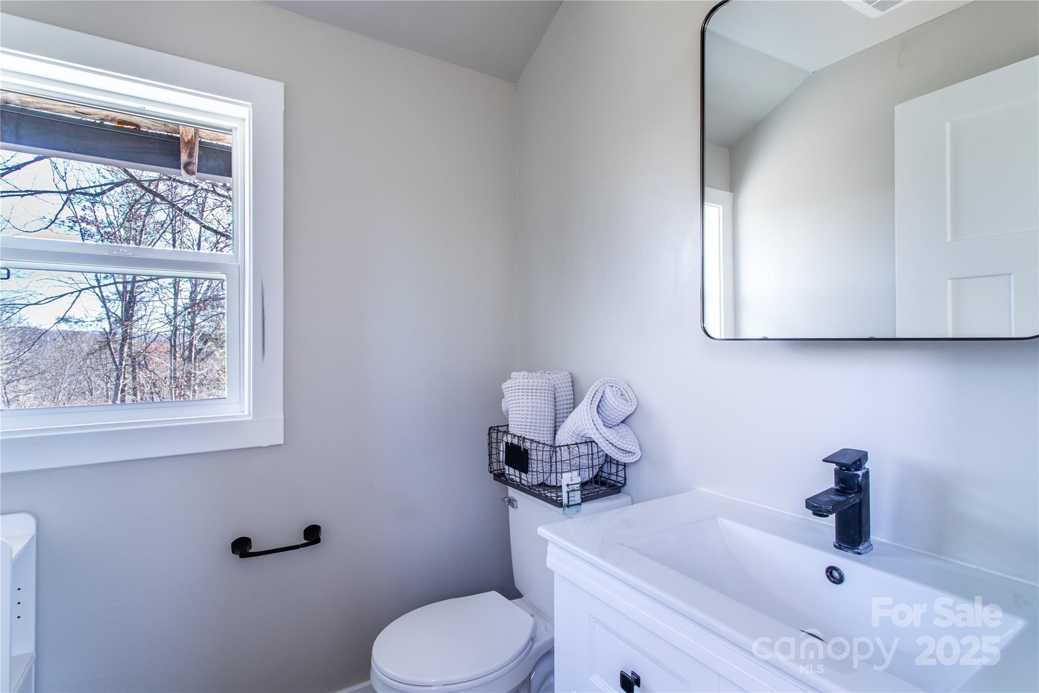 426-428 Weaver Creek Road Brevard, NC 28712 - Photo 44 of 48 a bathroom with a sink mirror and toilet