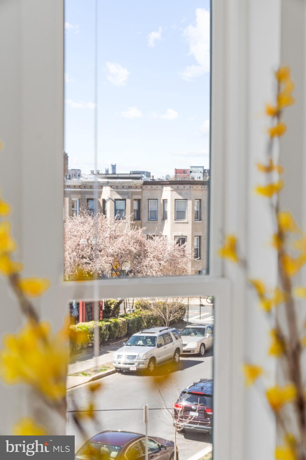 1021 Spring Road Northwest, Unit 2 Washington, DC 20010 - Photo 25 of 44