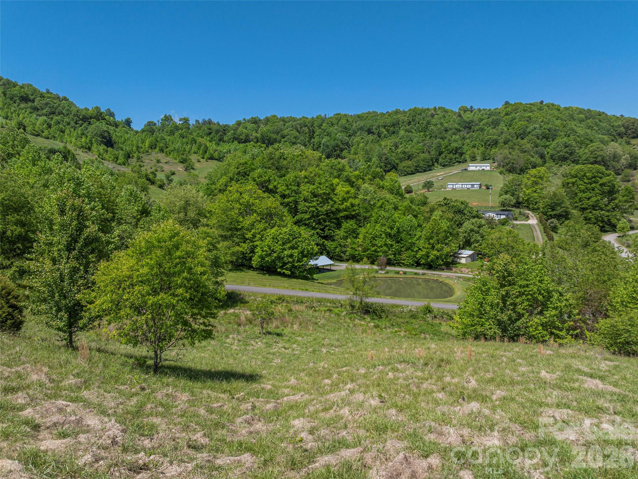 0 Inheritance Mountain Road Waynesville, NC 28785 - Photo 10 of 20