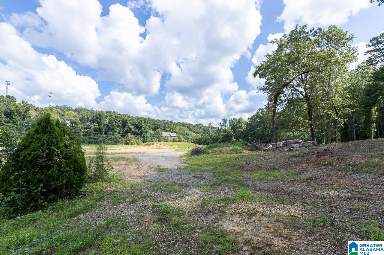 1080 Grants Mill Road Birmingham, AL 35210 - Photo 11 of 11