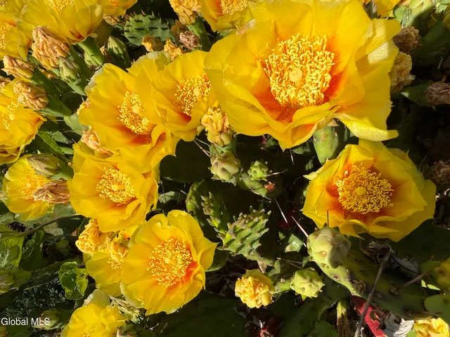 $379,900 | 18 Friar Tuck Road, Guilderland, NY 12203