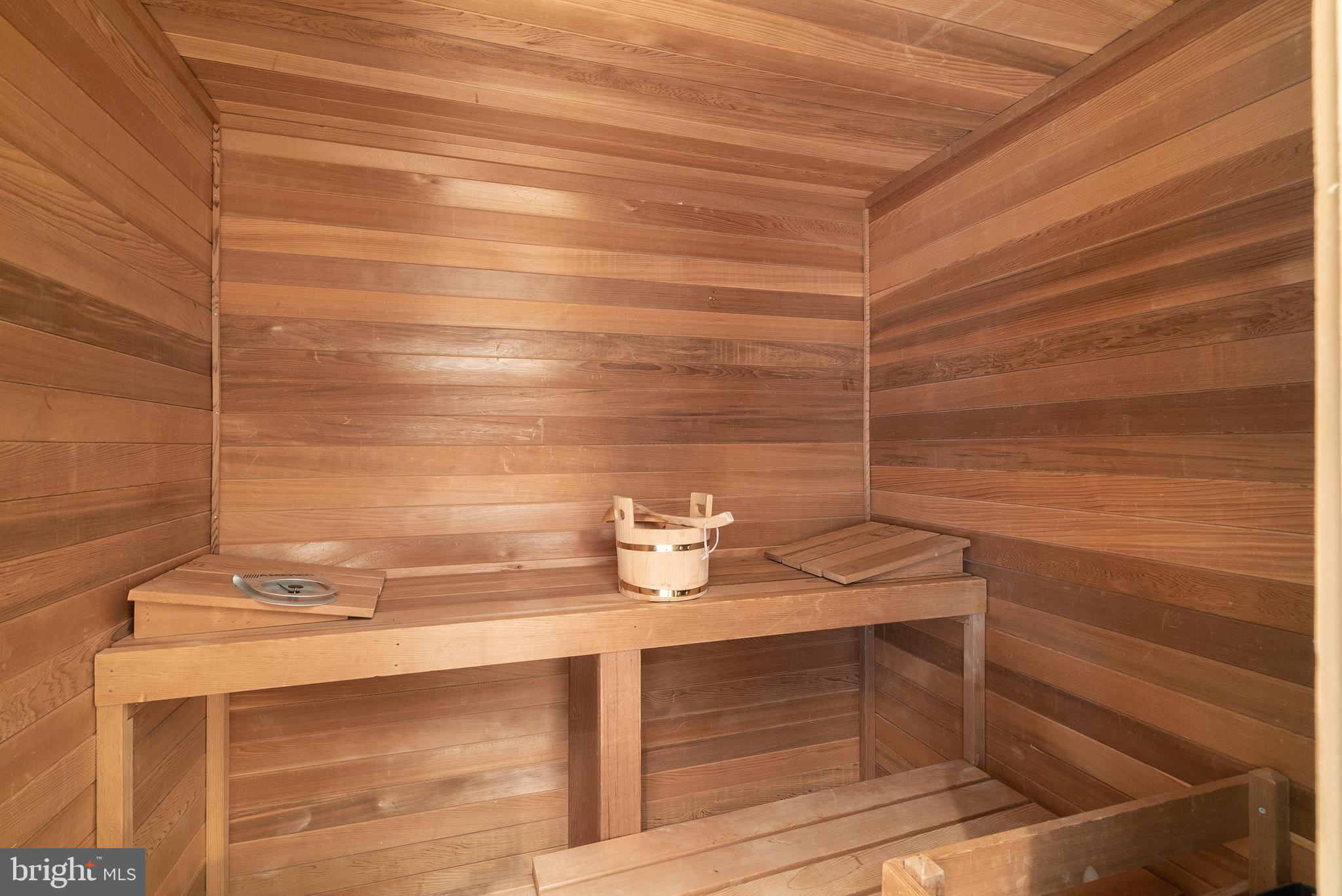 10823 Lockland Road Potomac, MD 20854 - Photo 52 of 92 Sauna