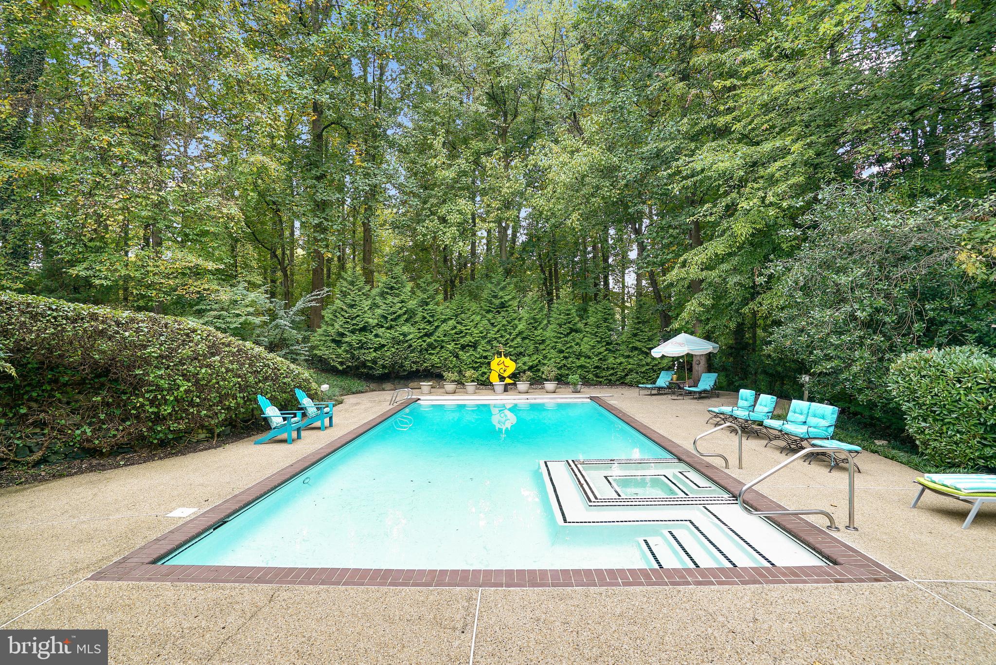 10823 Lockland Road Potomac, MD 20854 - Photo 79 of 92 22'x44' Pool